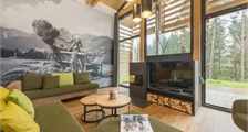 Exclusive-Ferienhaus AG1432 in Center Parcs Park Allgäu