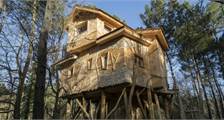 Baumhaus BD401 in Center Parcs Le Bois aux Daims