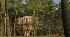 Maison dans les Arbres BD400 à Center Parcs Le Bois aux Daims