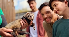 Hinter die Kulissen der Welt der Tiere in Center Parcs Le Bois aux Daims