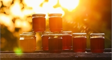 Honig-Extraktionsworkshop in Center Parcs Le Bois aux Daims