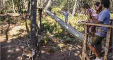 Les secrets du Cœur Animalier à Center Parcs Le Bois aux Daims