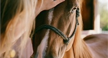 Balade à cheval 2h (confirmé) à Center Parcs Le Bois aux Daims