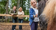 Mon Poney à Center Parcs Les Bois-Francs