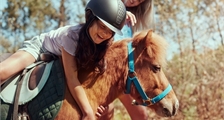 Mein Pony in Center Parcs Park Bostalsee