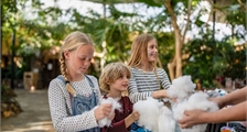 Kids Workshop: Bastele dein eigenes Stofftier in Center Parcs Park Bostalsee