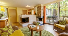 Premium-Ferienhaus CH288 in Center Parcs Les Hauts de Bruyères
