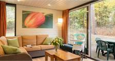 Cottage Premium EP426 à Center Parcs Erperheide