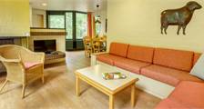 Cottage Comfort EP81 à Center Parcs Erperheide