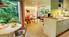 Cottage Comfort EP84 à Center Parcs Erperheide