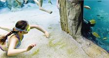 Aqua Mundo Einrichtungen in Center Parcs De Kempervennen