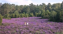 Région facilités à Center Parcs Limburgse Peel