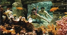Allgemein Einrichtungen in Center Parcs De Vossemeren