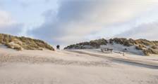 Umgebung Aktivitäten in Landal Ameland State