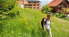 Freizeitangebote Einrichtungen in Landal Chalet Matin