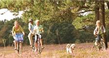 Urlaub mit Hund Einrichtungen in Landal Dwergter Sand