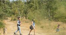 Wandern und Radfahren Einrichtungen in Landal Kaatsheuvel