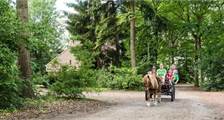Umgebung Aktivitäten in Landal Het Land van Bartje