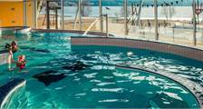 Schwimmen Aktivitäten in Landal Marina Lipno