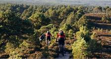 Wandern und Radfahren Einrichtungen in Landal Piperdam