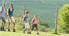Wandern und Radfahren Einrichtungen in Landal Sonnenberg