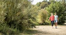 Wandern und Radfahren Aktivitäten in Landal Stroombroek